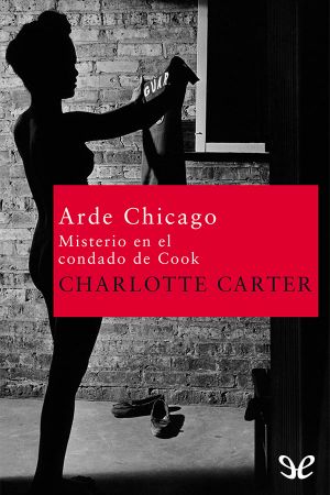 [Misterio en el condado de Cook 01] • Arde Chicago